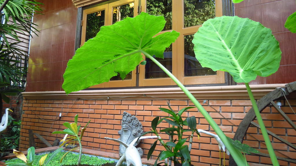 Big Lyna Villa Siem Reap Exterior foto